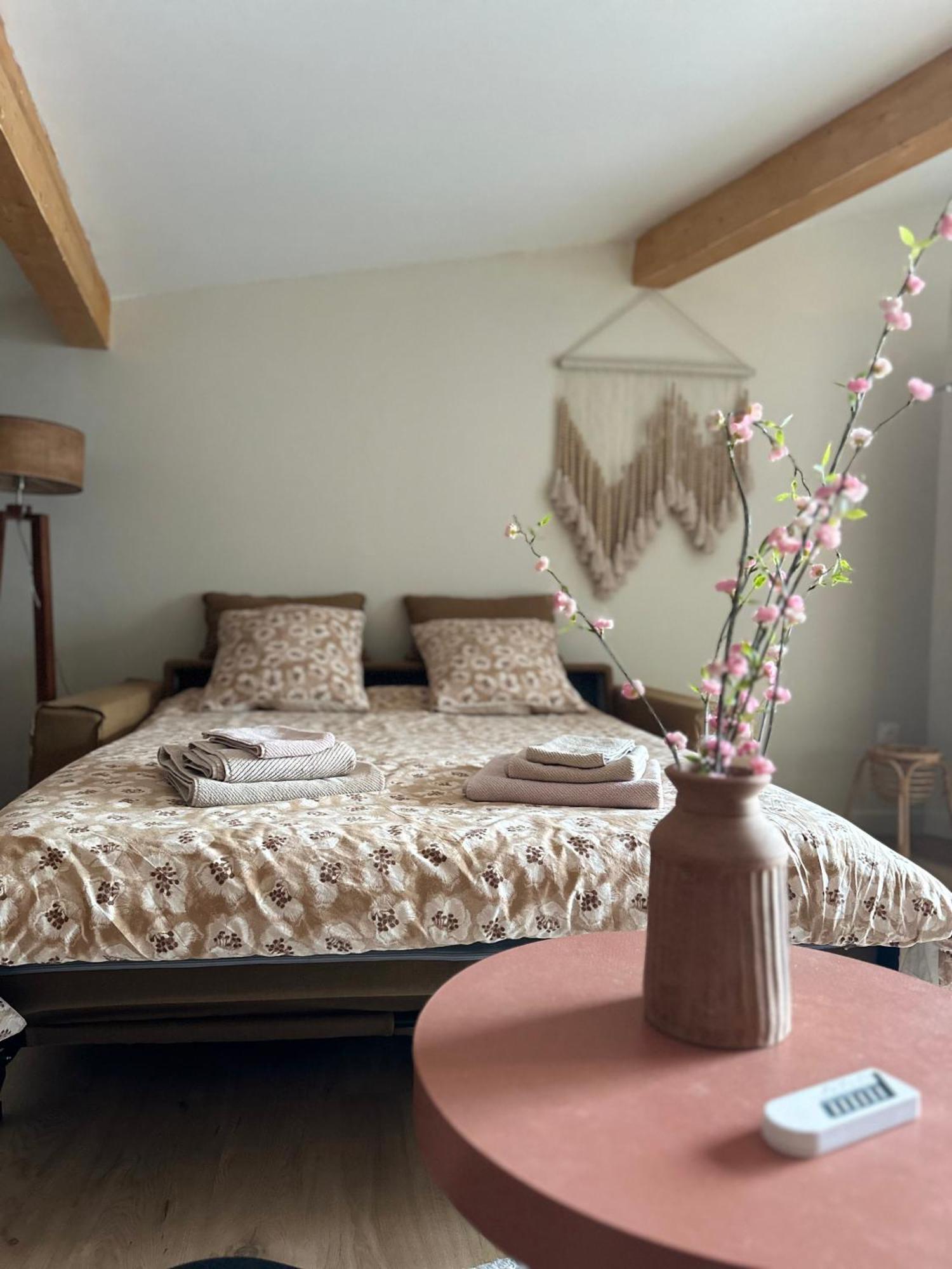 Studio Cosy Castanet-Tolosan Екстер'єр фото