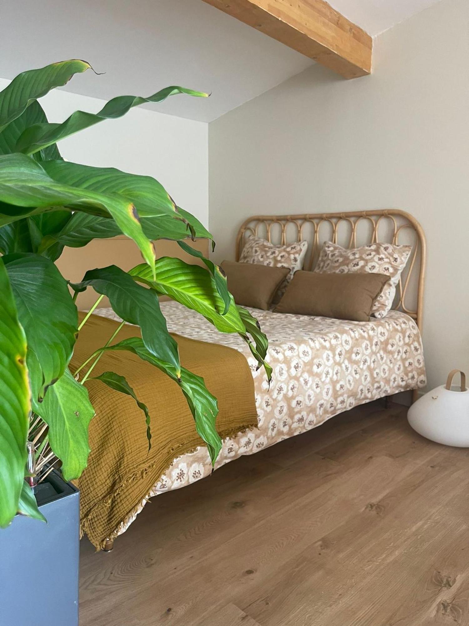 Studio Cosy Castanet-Tolosan Екстер'єр фото
